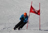 Landes-Ski-2015 31 Johann Grausgruber